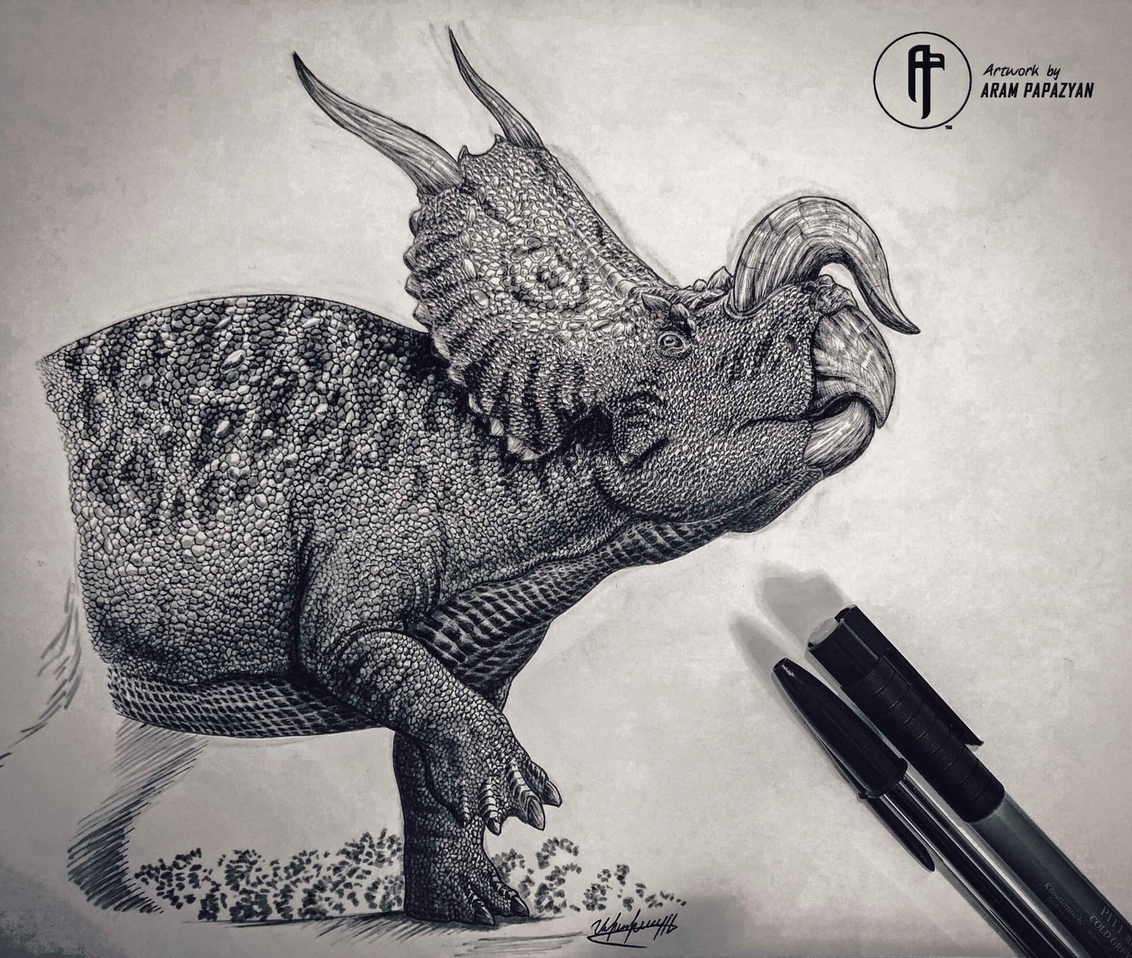 Einiosaurus - Image 2