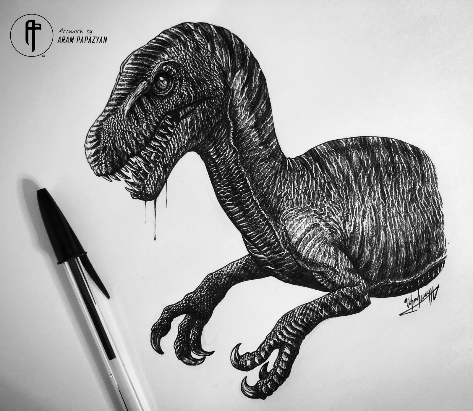 Dromaeosaurus - Image 2