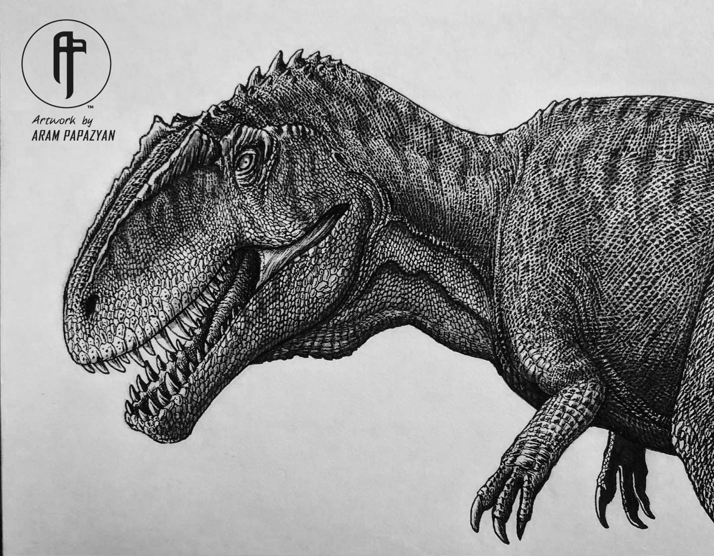 Giganotosaurus carolinii - Image 2