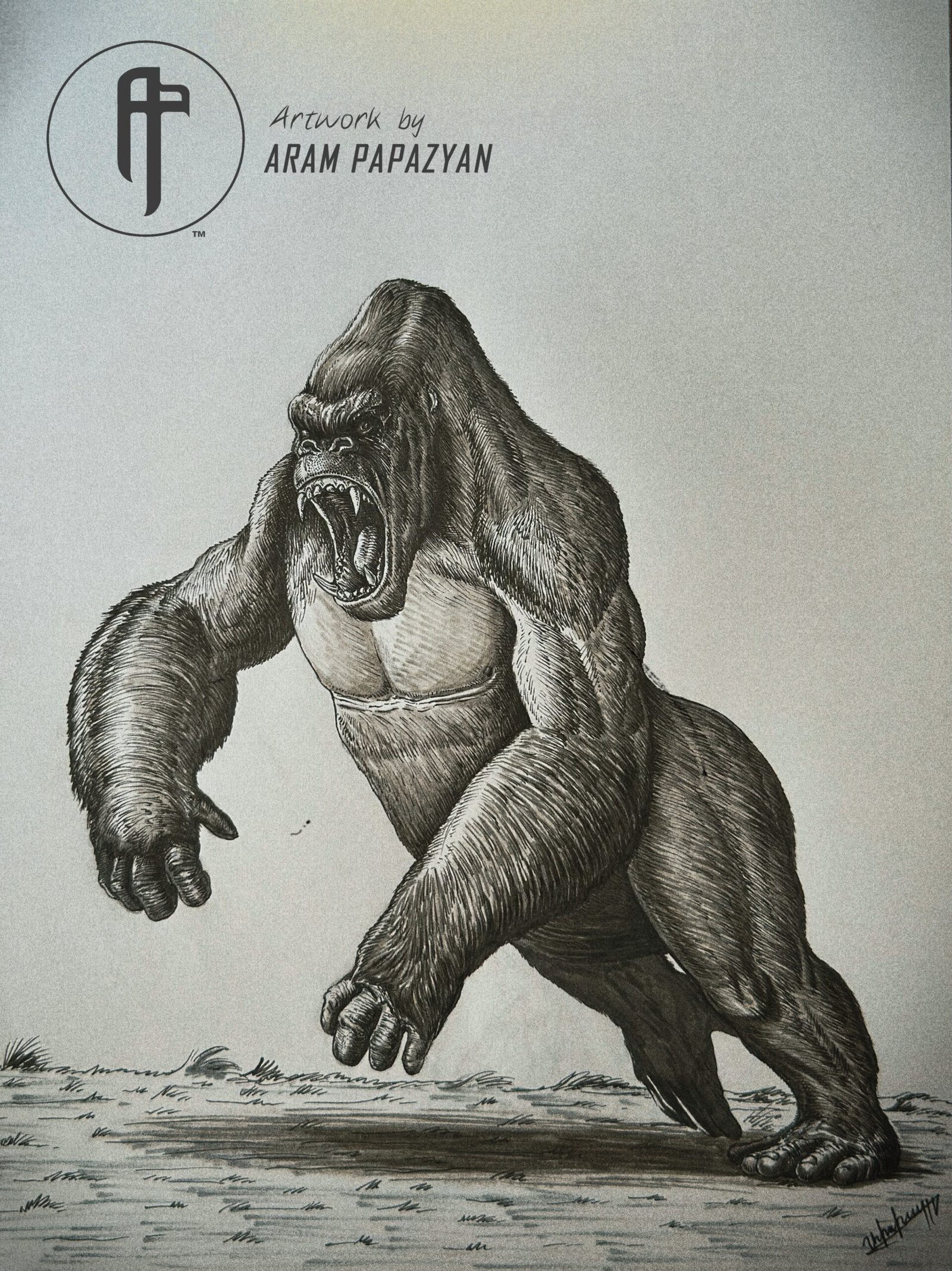 Gorilla - Image 2