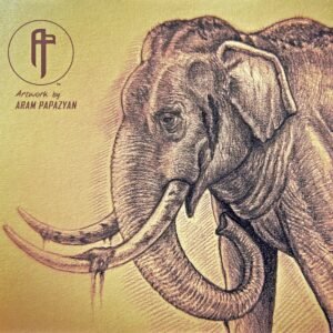 Asian Elephant