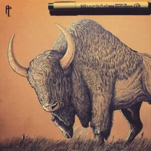 Bison latifrons