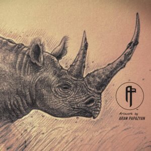 Black Rhinoceros