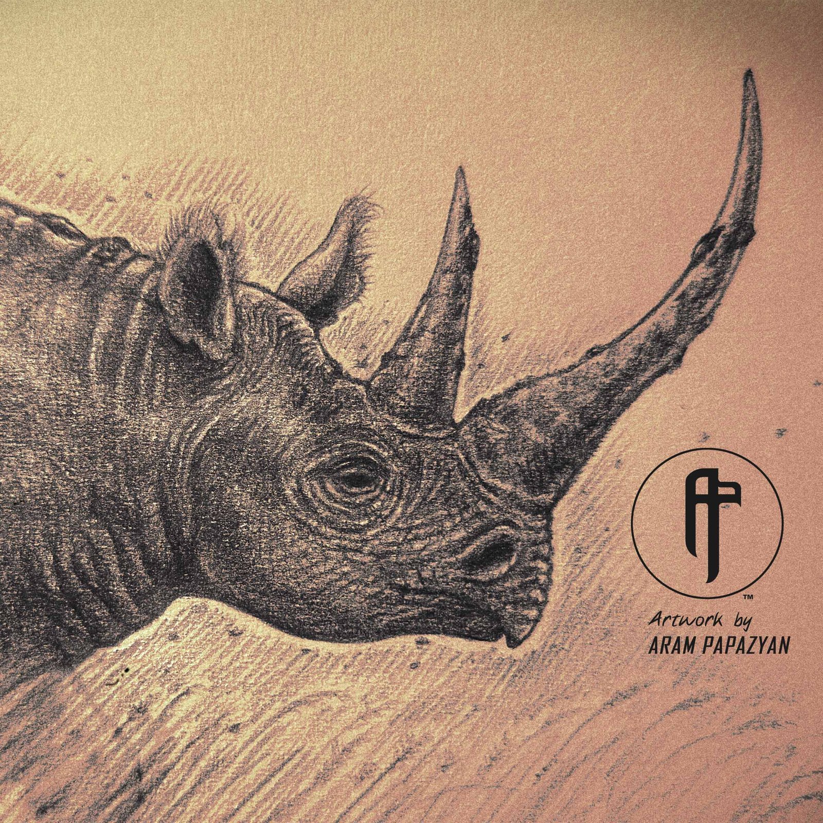 Black Rhinoceros