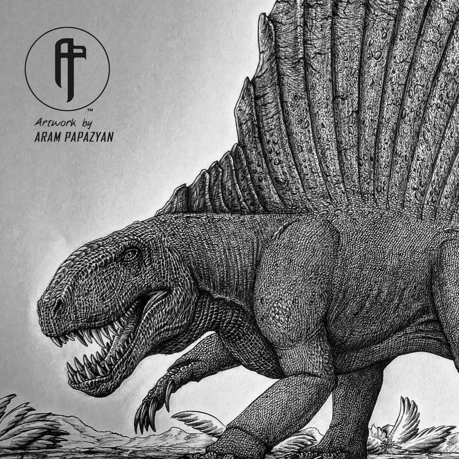 Dimetrodon grandis