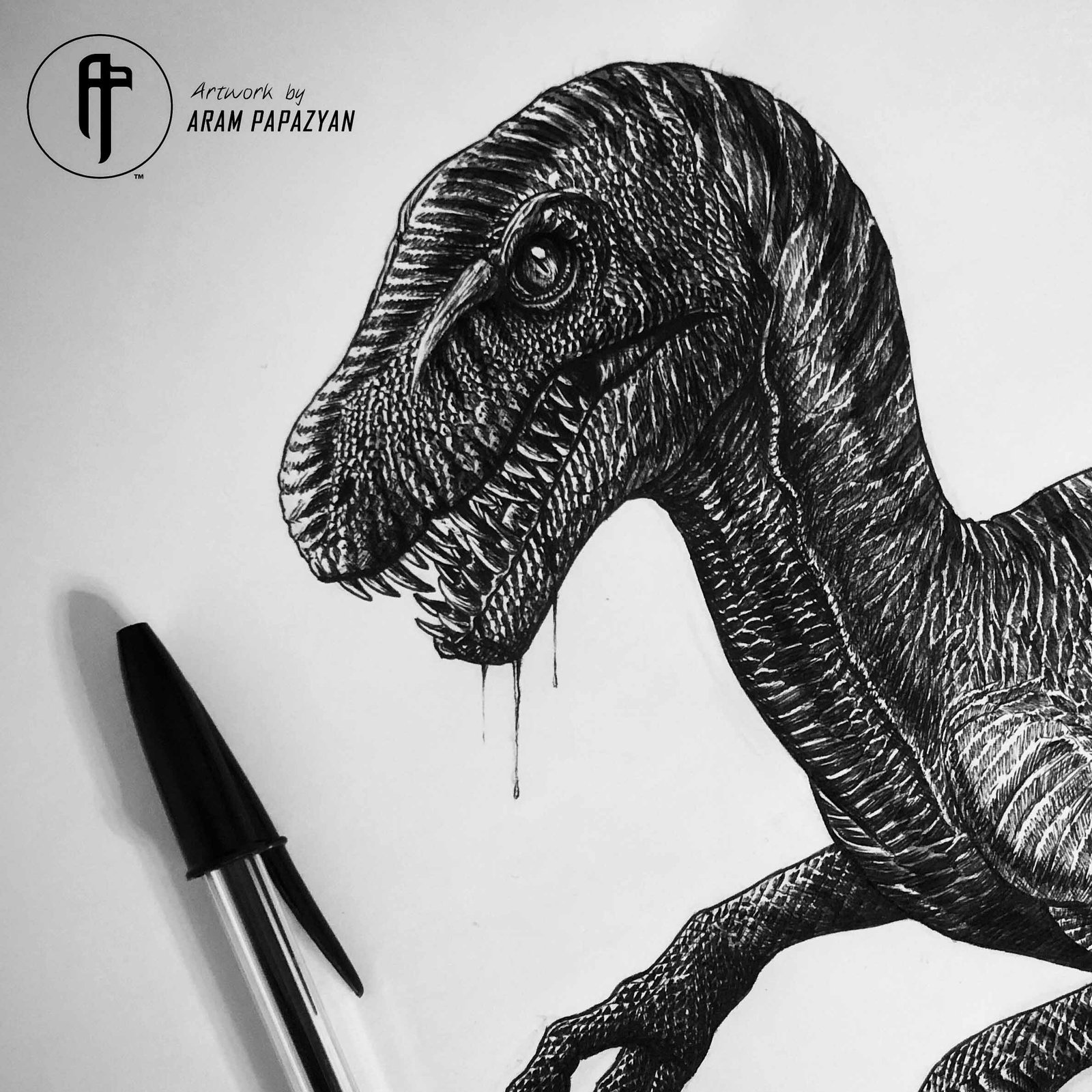 Dromaeosaurus