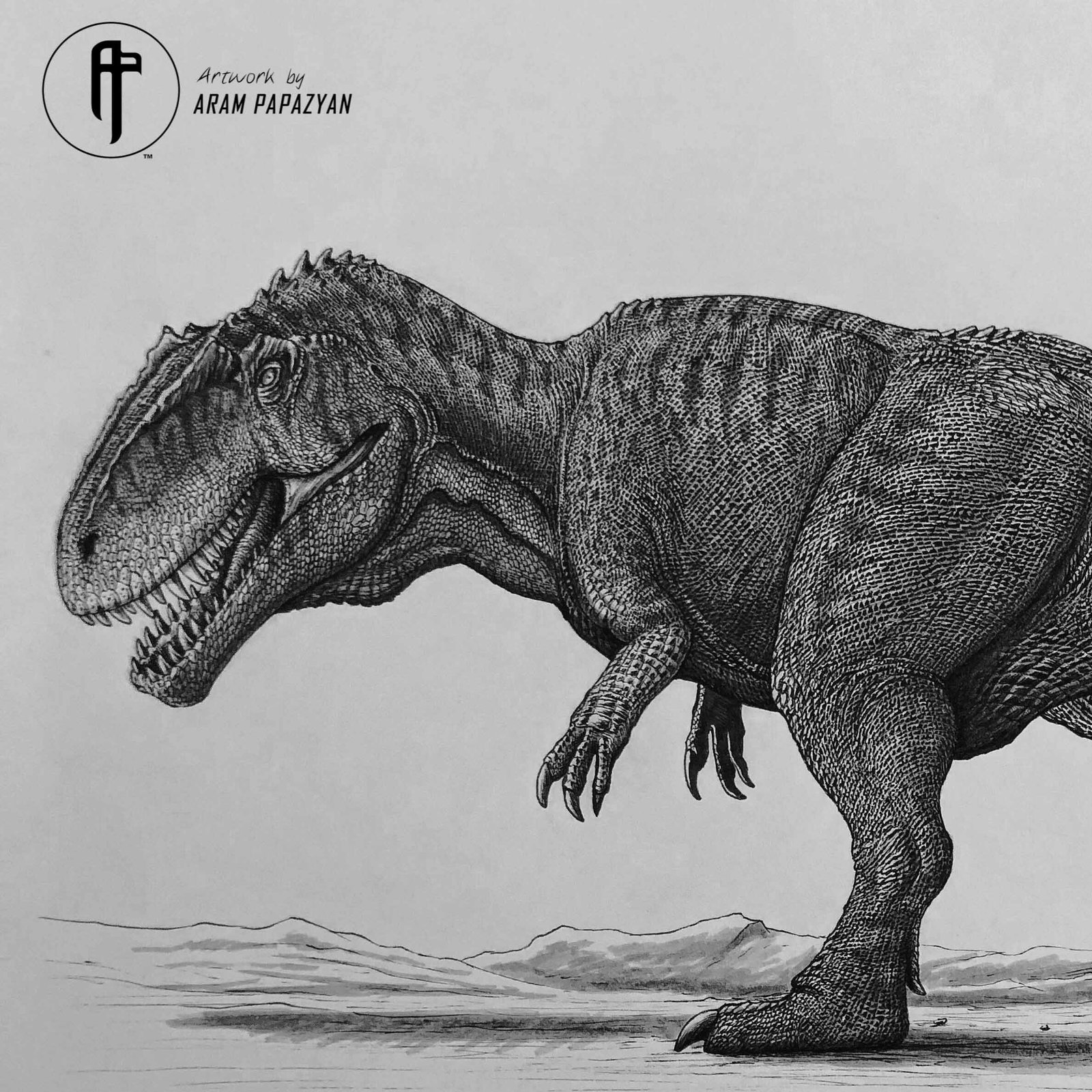 Giganotosaurus carolinii