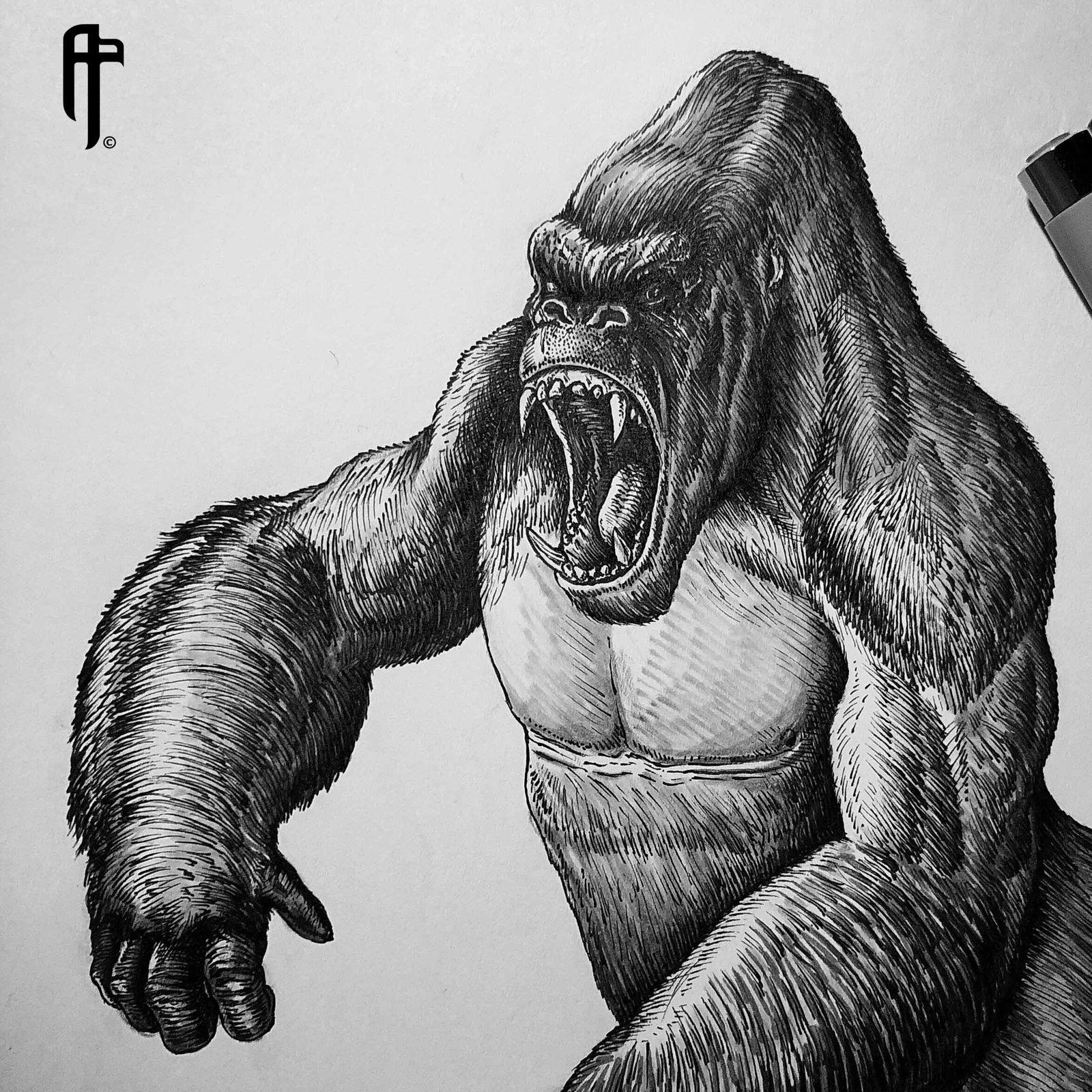 Gorilla