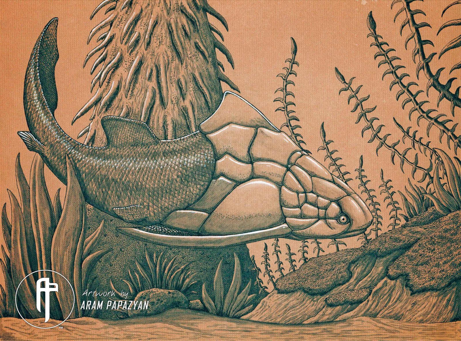 Groenlandaspis