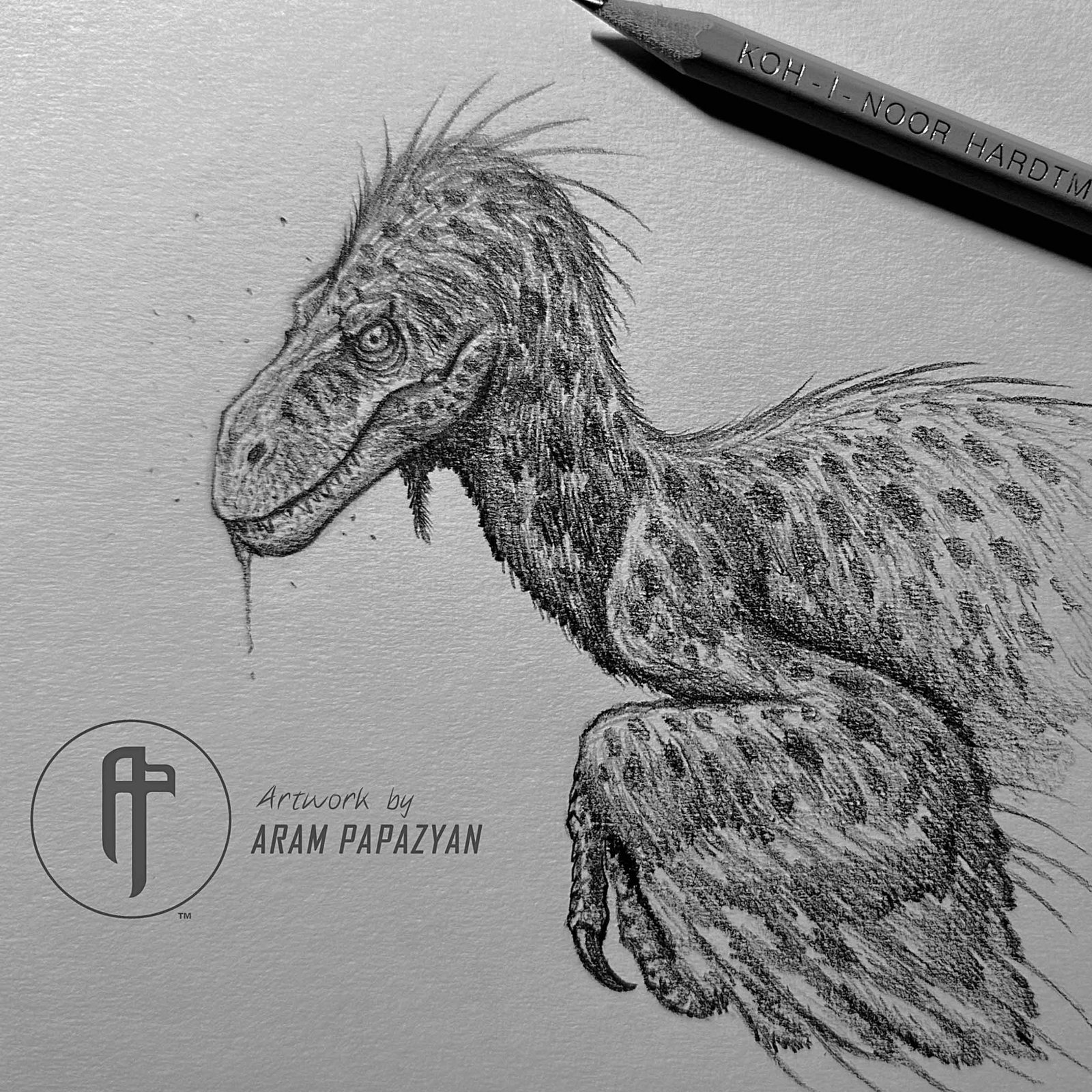Raptor sketch