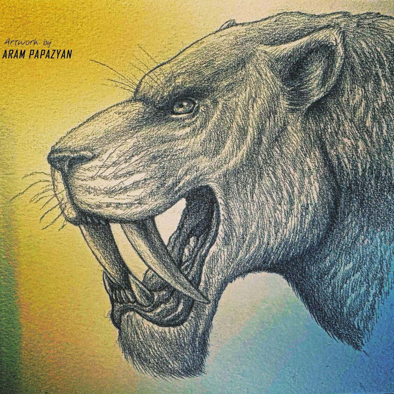 Smilodon populator