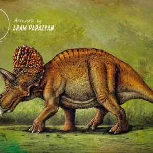 Triceratops