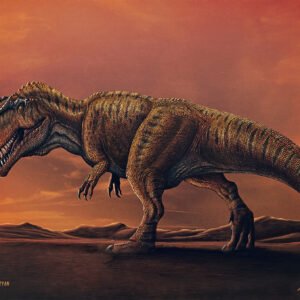 Giganotosaurus