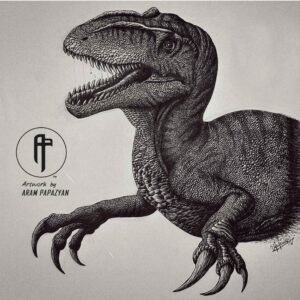 Australovenator