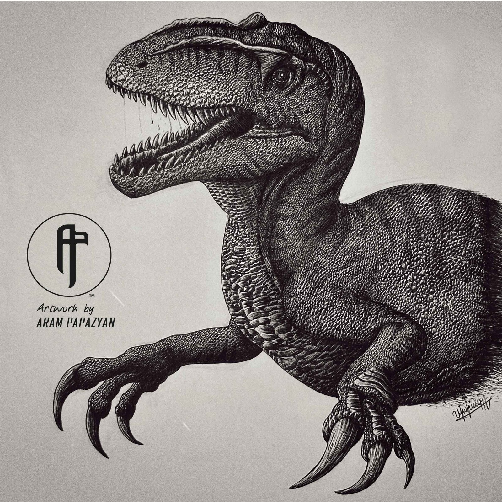 Australovenator